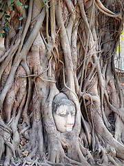 Image showing Buddhist temples 