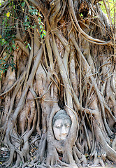 Image showing Buddhist temples 