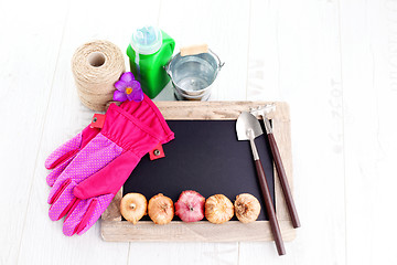 Image showing gardening tools