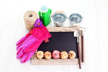 Image showing gardening tools