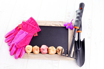 Image showing gardening tools