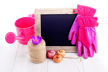 Image showing gardening tools