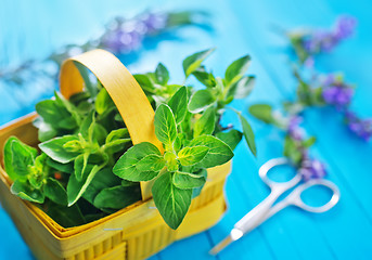 Image showing fresh herb