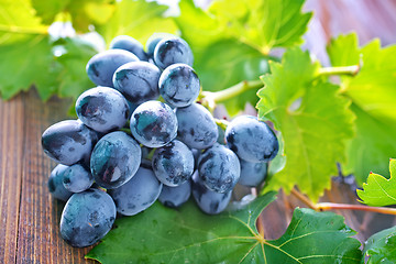 Image showing grape