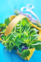 Image showing fresh herb