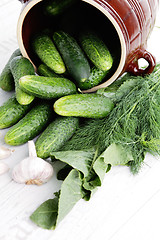 Image showing cucumber