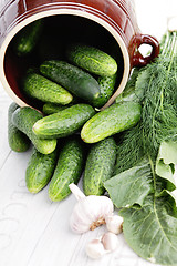 Image showing cucumber