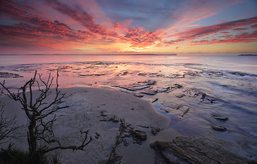 Image showing Sunrise Plantation Point Jervis Bay Vincentia