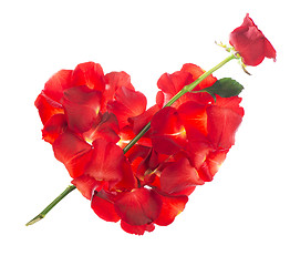 Image showing Red rose petals 