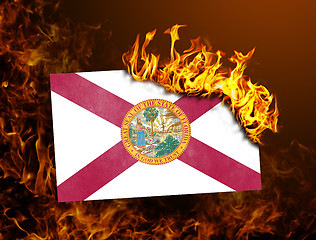 Image showing Flag burning - Florida