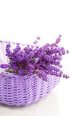 Image showing basket of lavende