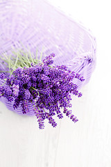 Image showing basket of lavende