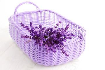 Image showing basket of lavende