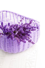 Image showing basket of lavende