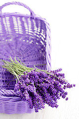 Image showing basket of lavende