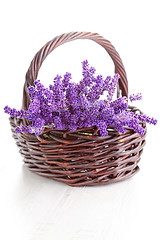 Image showing basket of lavende