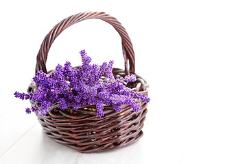 Image showing basket of lavende