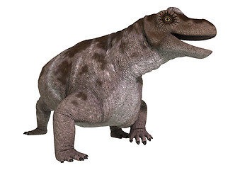 Image showing Dinosaur Keratocephalus