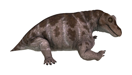 Image showing Dinosaur Keratocephalus