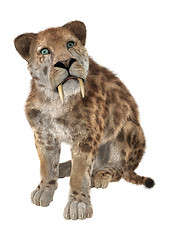 Image showing Big Cat Smilodon