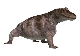 Image showing Dinosaur Keratocephalus