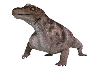 Image showing Dinosaur Keratocephalus