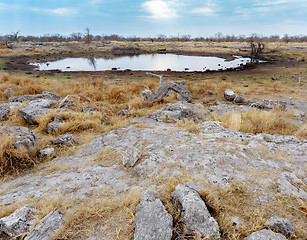 Image showing Empty waterhole in namibia game reserve