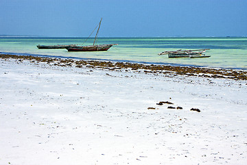 Image showing  sand  beach   in zanzibar  