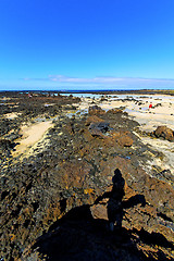 Image showing white coast lanzarote  in swimming   and summer 