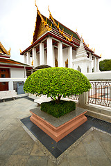 Image showing  pavement gold    temple   in   bangkok  thailand incision of th