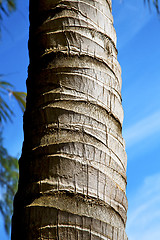 Image showing  bark in kho tao   bay    thailand  and sky