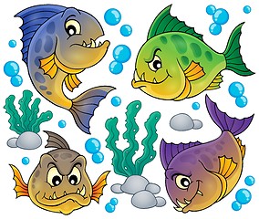 Image showing Piranha fishes collection