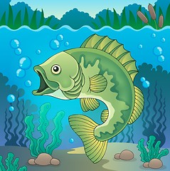 Image showing Freshwater fish topic image 1
