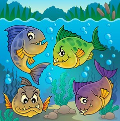 Image showing Four piranha fishes underwater