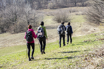 Image showing Hikers walking