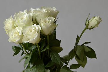 Image showing bouquet of roses and a rose unblown 