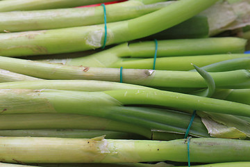 Image showing green leek background