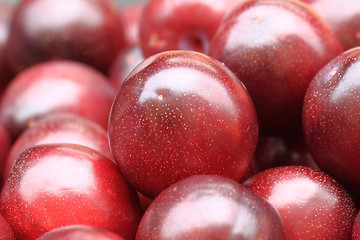 Image showing plum fruit background