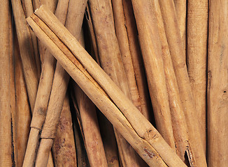 Image showing Cinnamon sticks