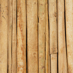 Image showing Cinnamon sticks