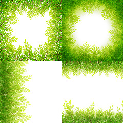 Image showing Green leaves frame Set isolated on white. EPS 10