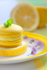 Image showing yellow lemon macaron