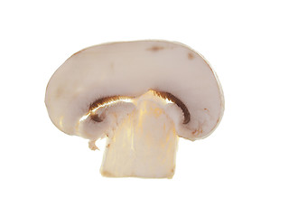 Image showing Champignon mushroom isolated