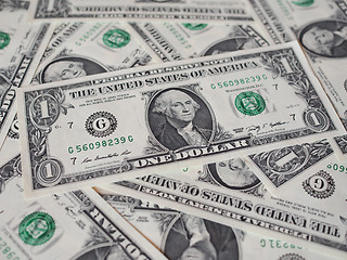 Image showing Dollar notes 1 Dollar