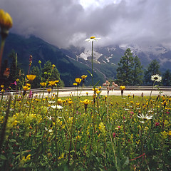 Image showing  Austrian Alps