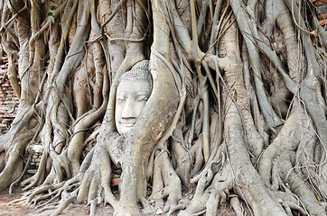 Image showing The head of the sandstone buddha image