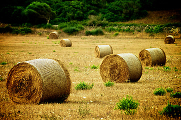 Image showing Straw Bales