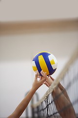 Image showing volleyball