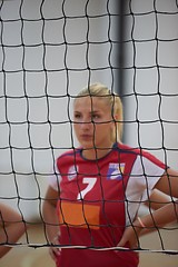 Image showing volleyball