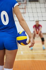 Image showing volleyball